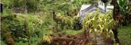 Crater Mountain, PNG